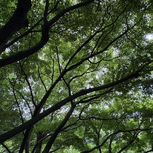 Vol.41 是我与我最新一次的整合
