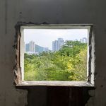 竹九二隻
