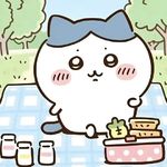 衣青