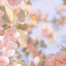 小铁锅呐好运版