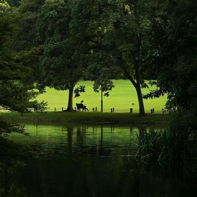 podcast-avatar