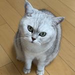 Aaaaa郑