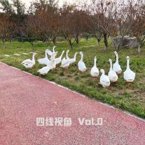 0.好消息：播客下沉到四线城市了