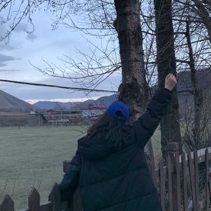 爱吃贝果的贝多芬