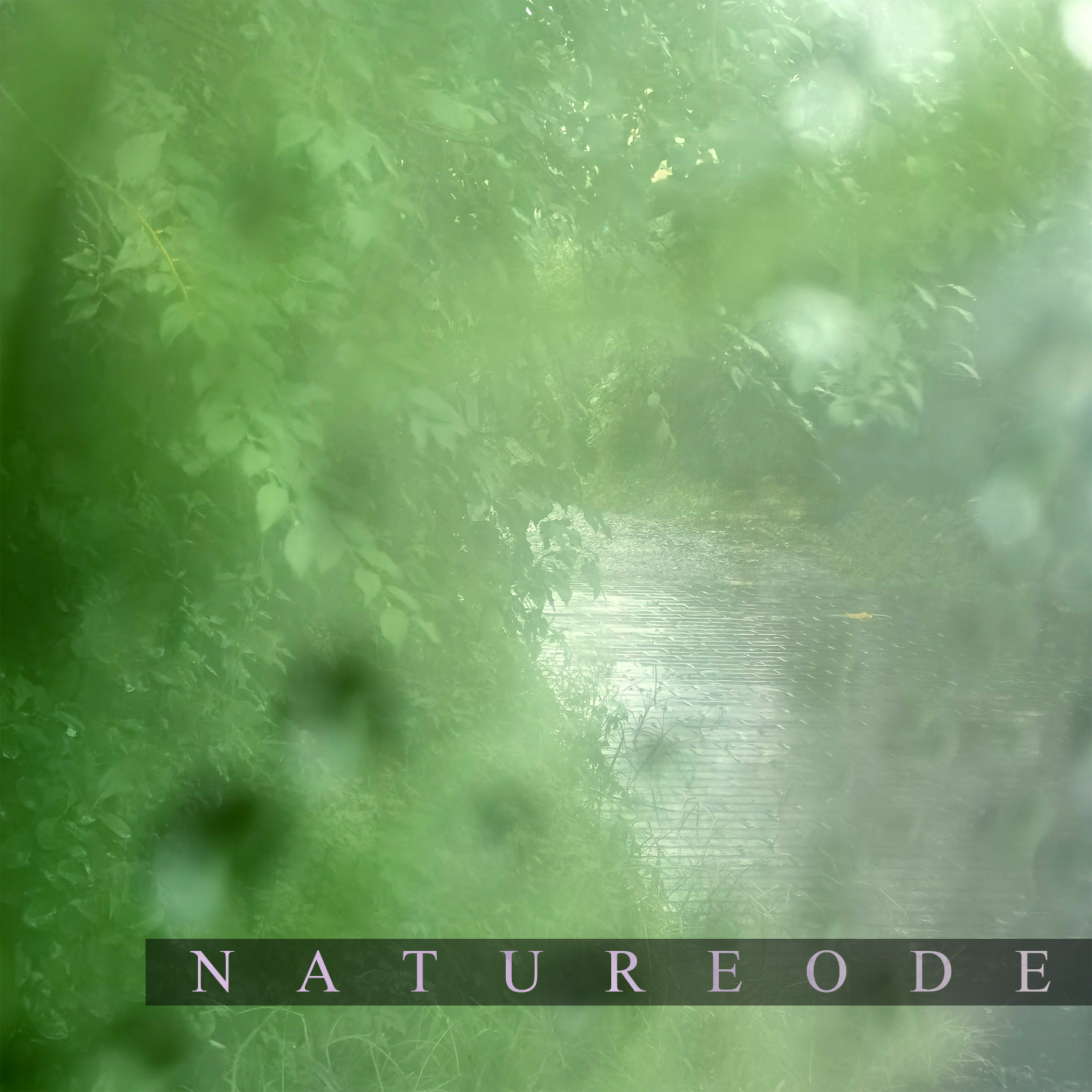 陋室谧谧·白雨车居 episode artwork