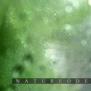 陋室谧谧·白雨车居