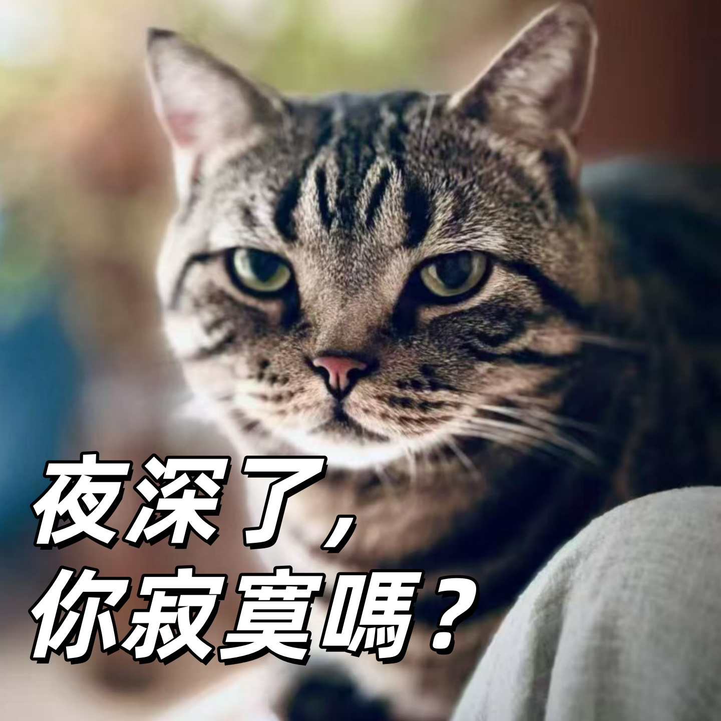 夜深了你寂寞吗？睡不着的人来听吧！| 深夜电话21-不眠夜 episode artwork
