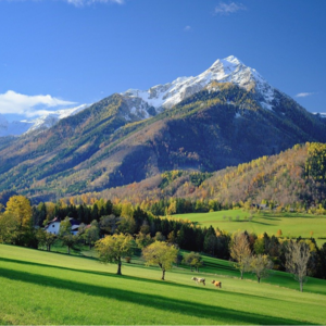 EP09 技术分析与机器学习：量化策略新视角