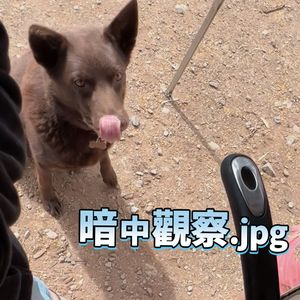 podcaster-avatar
