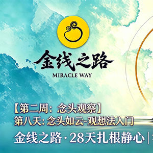 第八天：念头如云-观想法入门冥想