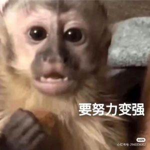 刘湛秋《雨的四季》