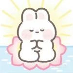 休卷半帘明月影