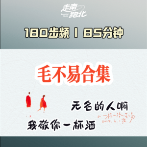 180步频|毛不易合集|80分钟|无名的人啊我敬你一杯酒