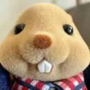 养只下金蛋的鹅