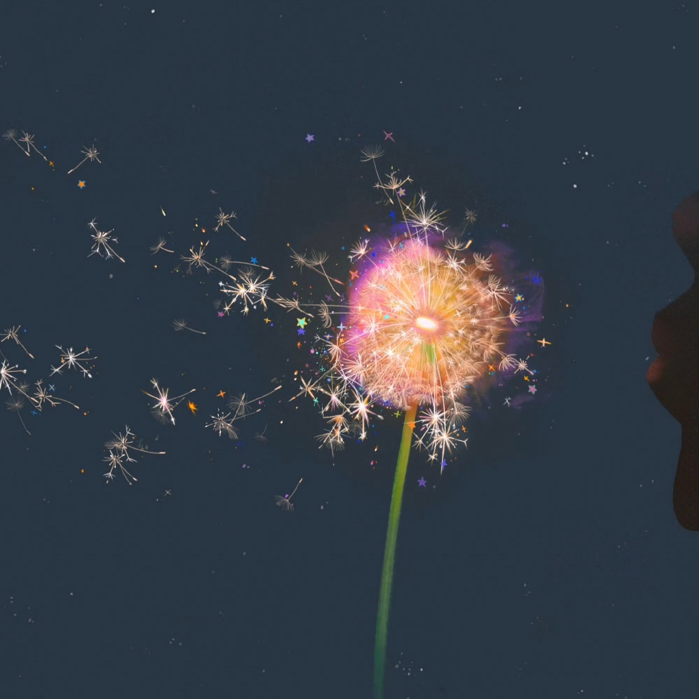 19# 当一个i人决定在人群里发疯