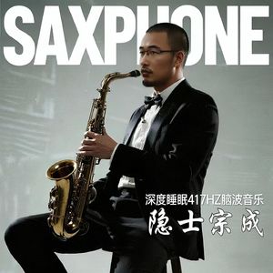 深度睡眠417HZ脑波音乐