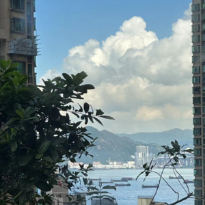 Vol.04 对谈香港的新移民，关于行山、美食、电影以及人文多元探索