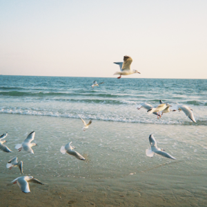 20岁这个年纪最大的优势，就是可以对一切既定规则说：“真的吗？我不信。”