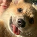 Todd_TLAJ