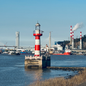 EP8助眠特辑之动物世界就是简单粗暴版的人类手册