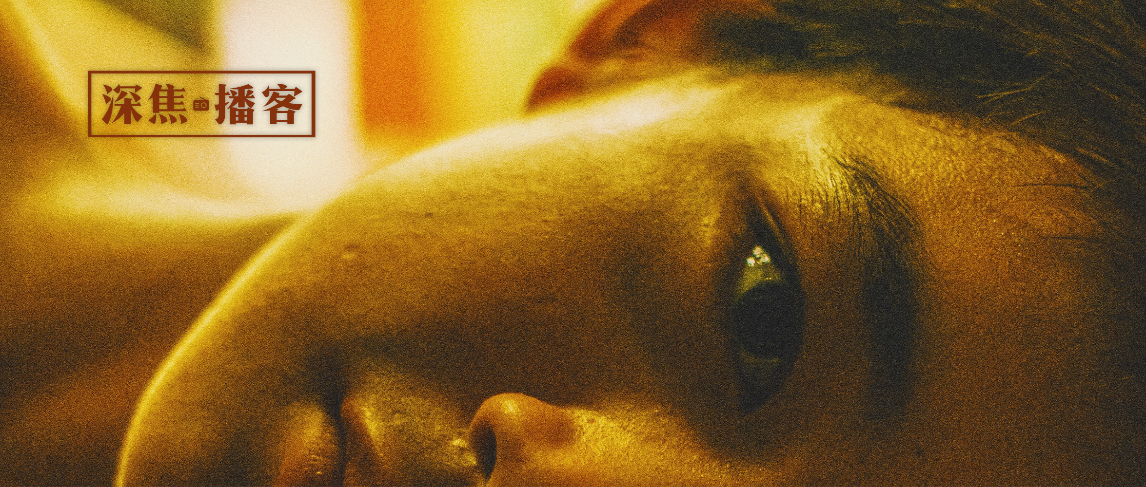 深焦DeepFocus Radio