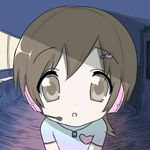 刺冬