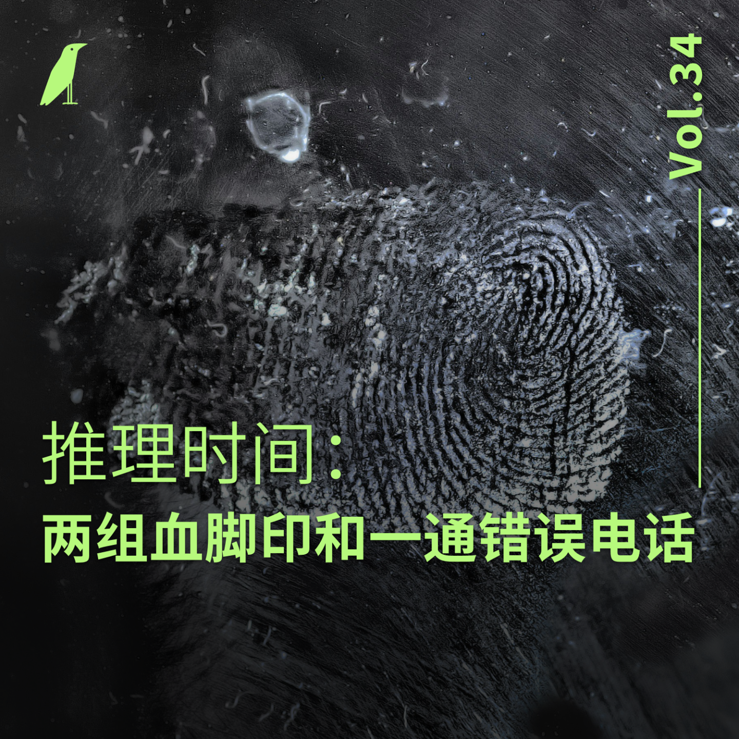 cover of episode 034 推理时间:两组血脚印和一通错误电话
