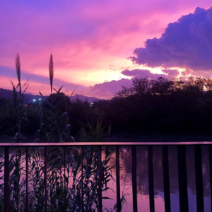 iv.【重生】之 霸道智障爱上安徽保姆