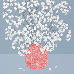 我不焦虑了,做个普通人又如何|Vol.011