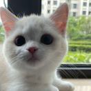 李拜天_4jLE