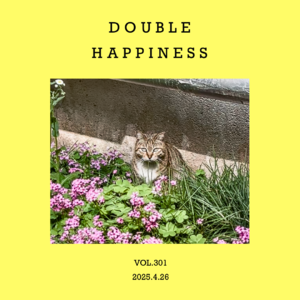 vol.301:周休一日,所以要加倍快乐~