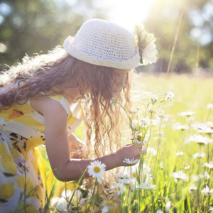 2025年1-4月｜Part 3 人们如何获得快乐？