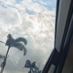 我的书我的书