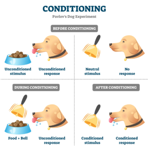 谁是巴甫洛夫的狗？你我皆是 | 9月26日