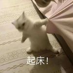 阿叉_FH4q