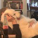 吃橙子不剥橙子皮