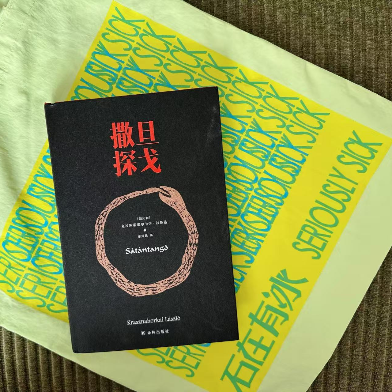 石在有冰13｜和诺奖得主拉斯洛一起坐72路，走进“九龙柱”的迷雾世界 episode artwork