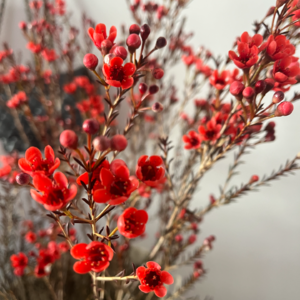 2024年度总结与复盘&2025年度计划新鲜出炉