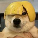 野生二表姐