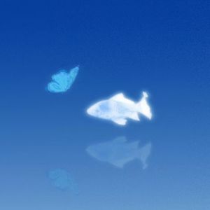 明晚一场懵