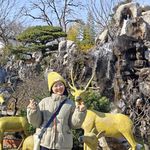 清风qingfeng