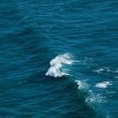 sea_shuchenq