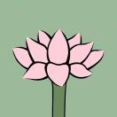 早睡早起的小莲是巨星