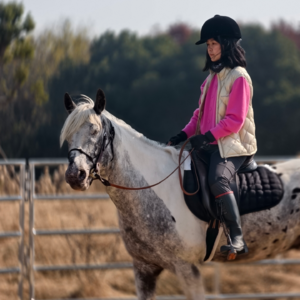 线面故事004 邹欢：翻译是一种智识训练