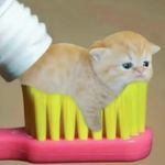 小龙打哈哈