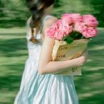 巴棋苏木的月光