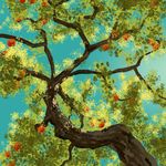 不喝咖啡爱睡觉