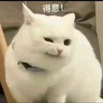 奈亚子饲养员
