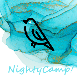 NightyCamp夜营