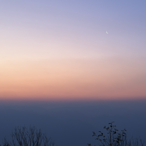 43 🎬 书影音大放送：不是你在选择，而是它在夺取你的目光和神志。